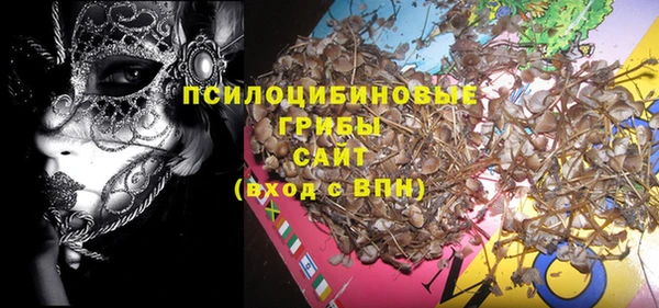 ALPHA-PVP Няндома