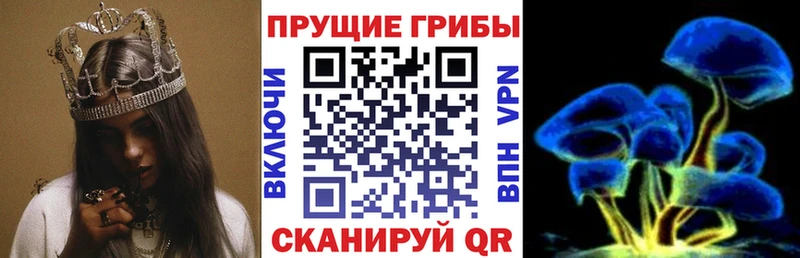 Галлюциногенные грибы прущие грибы  kraken tor  Катайск  закладка 