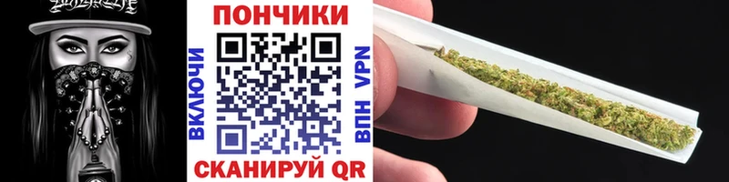 Бошки Шишки гибрид  Катайск 